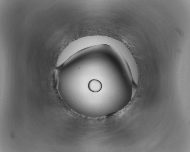 X0000108480192200904171619