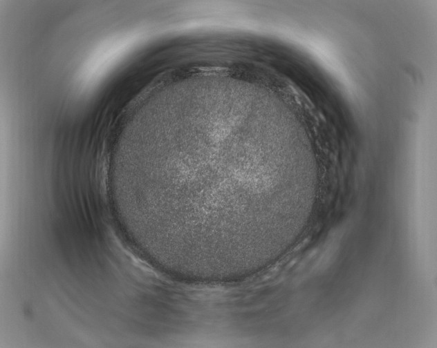 X0000108480194200904171618