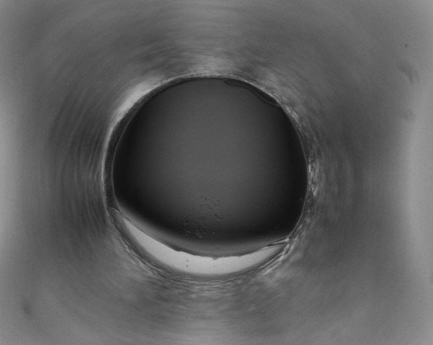 X0000108480196200904171618
