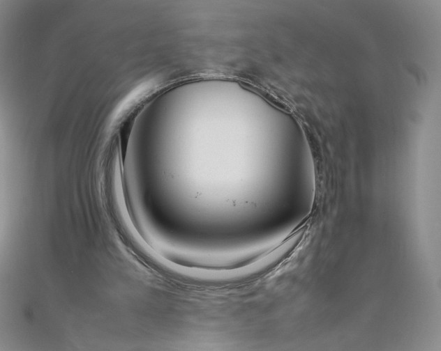 X0000108480197200904171618