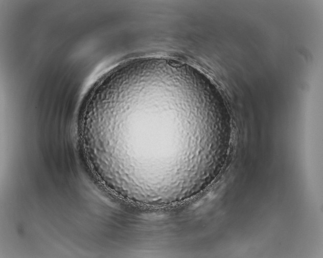 X0000108480198200904171618