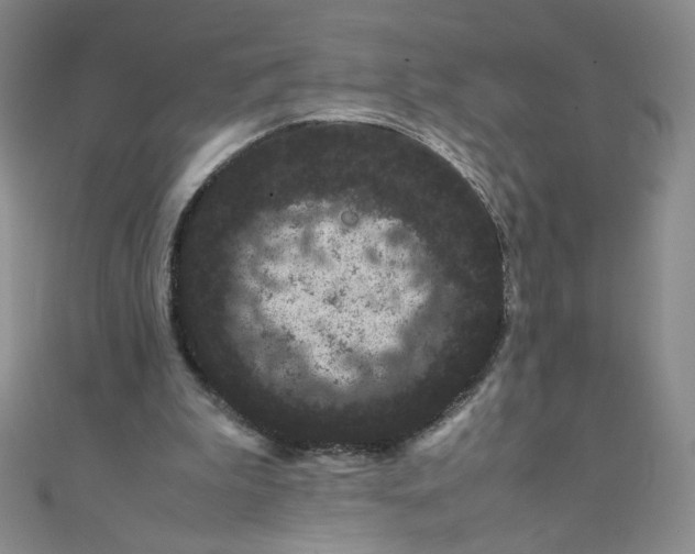 X0000108480199200904171618