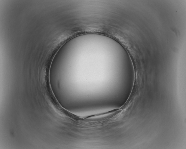 X0000108480201200904171618