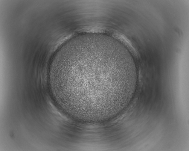 X0000108480202200904171618