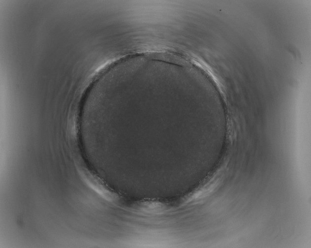 X0000108480203200904171618