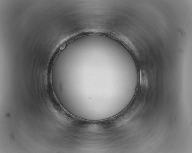 X0000108480204200904171618