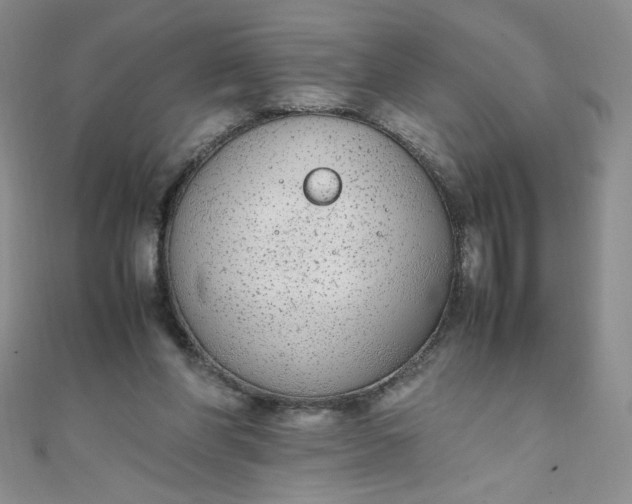 X0000108480206200904171618