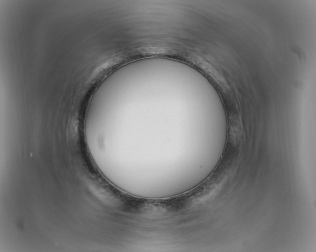 X0000108480207200904171618