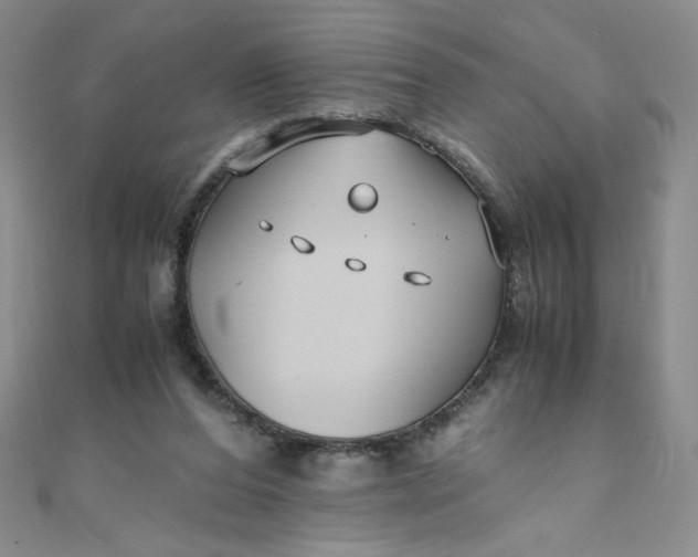 X0000108480208200904171618