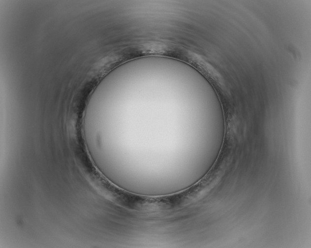 X0000108480209200904171618