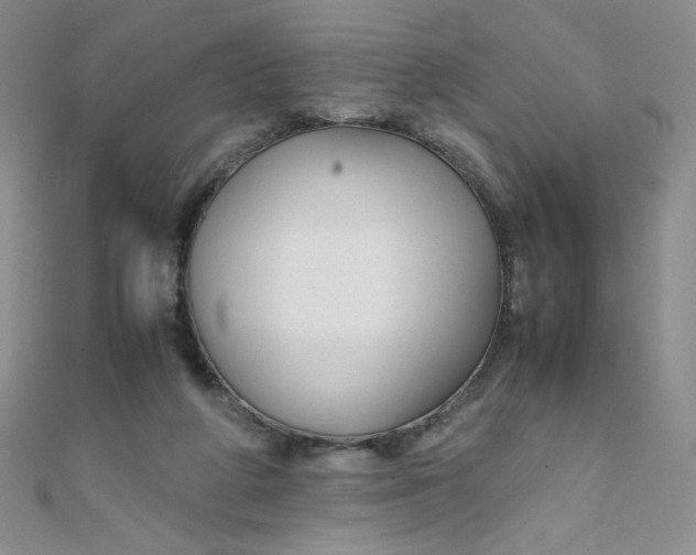 X0000108480210200904171618