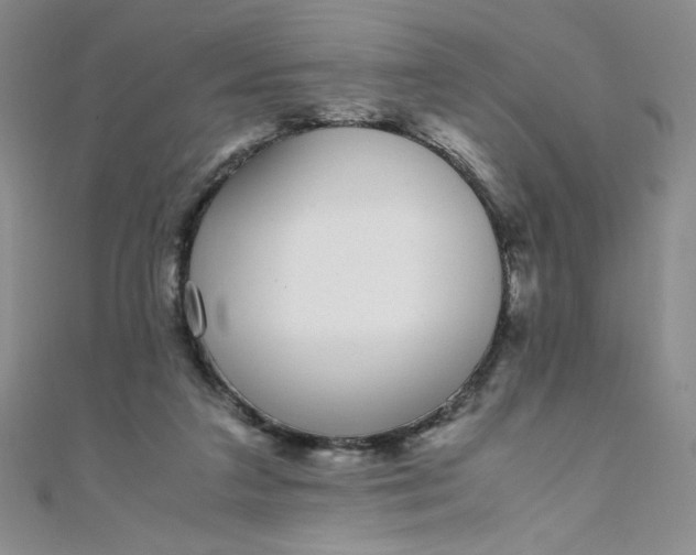 X0000108480211200904171618