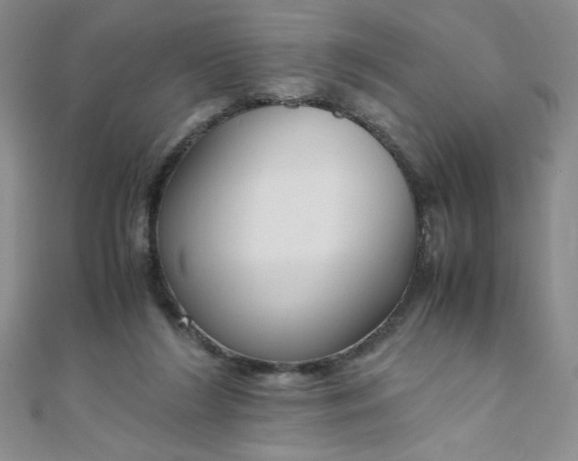 X0000108480212200904171618