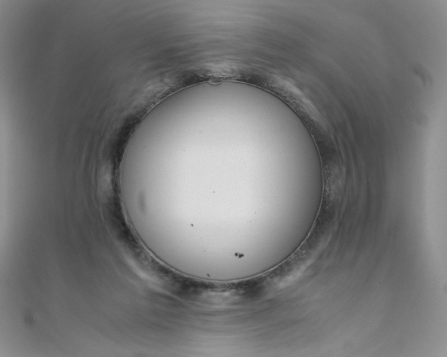 X0000108480213200904171618