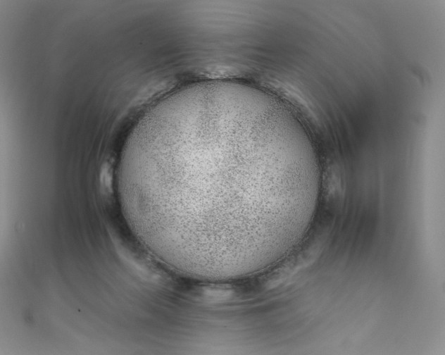 X0000108480214200904171618