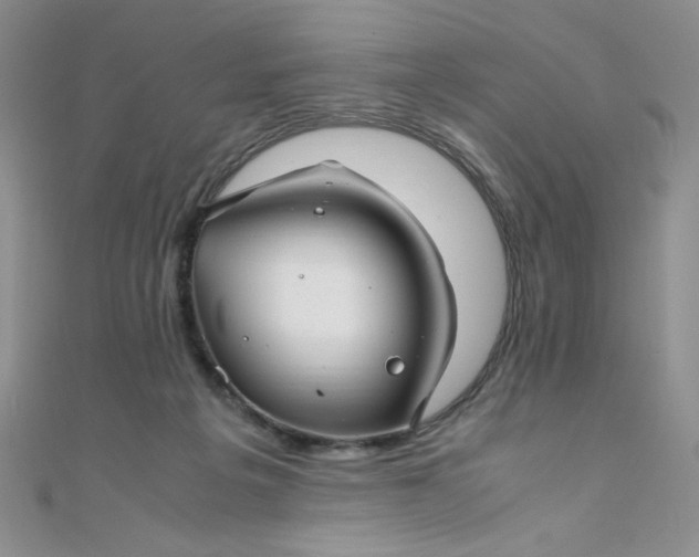 X0000108480217200904171618