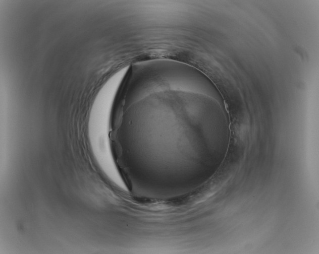 X0000108480219200904171618