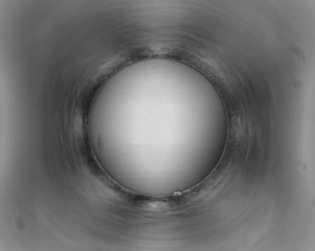 X0000108480220200904171618