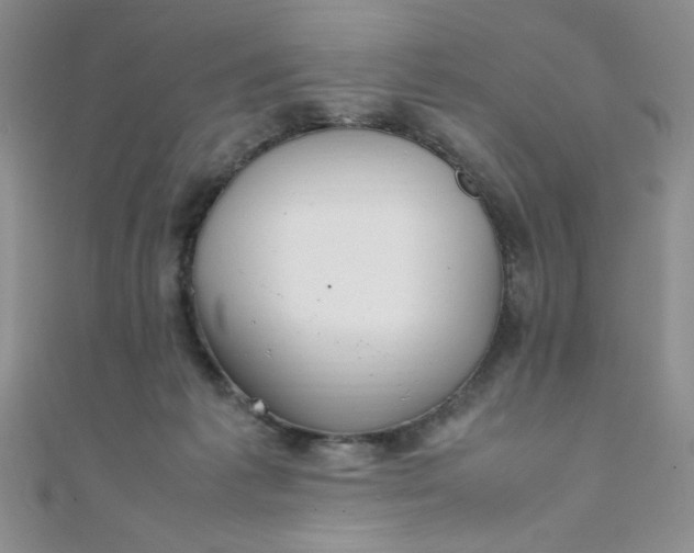 X0000108480221200904171618