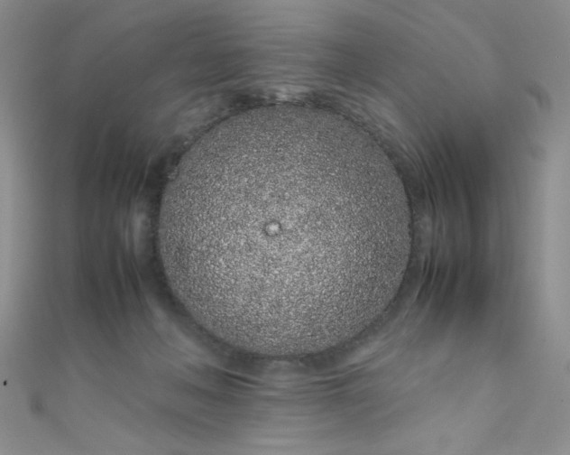 X0000108480222200904171618