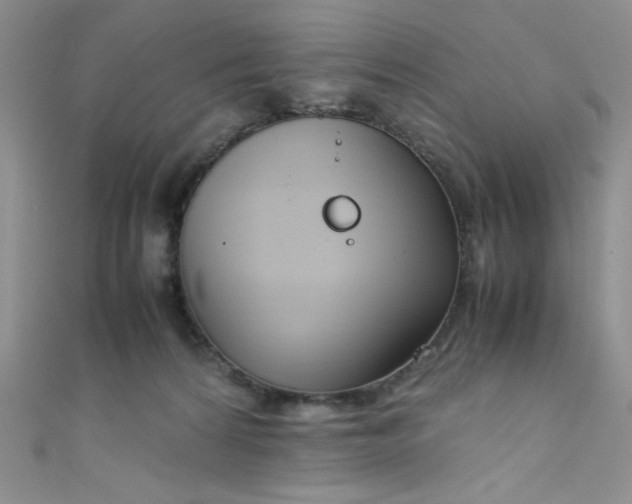 X0000108480224200904171618