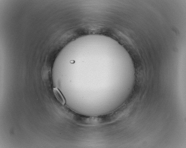 X0000108480225200904171618