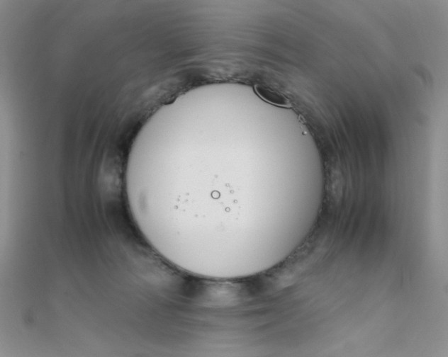 X0000108480226200904171618