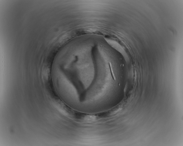 X0000108480227200904171618