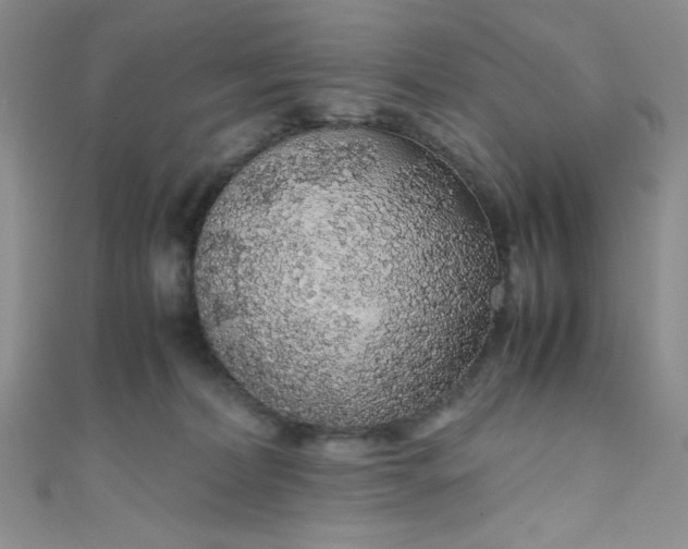 X0000108480228200904171618