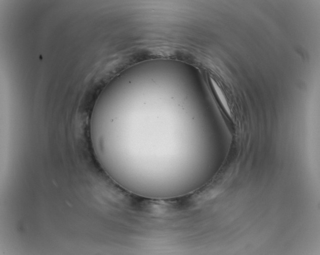 X0000108480229200904171618
