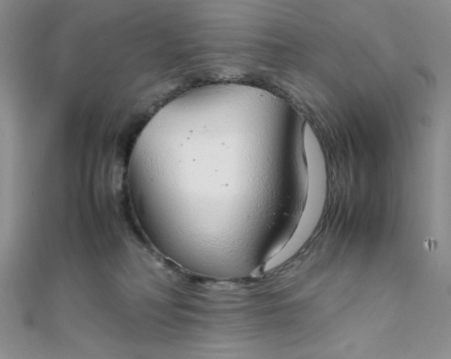 X0000108480230200904171618