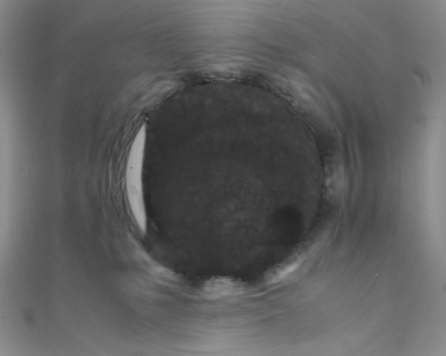 X0000108480231200904171618