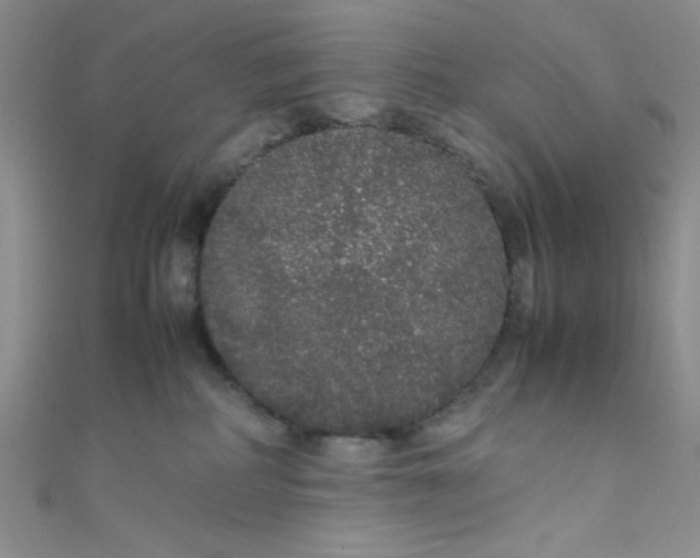 X0000108480234200904171618