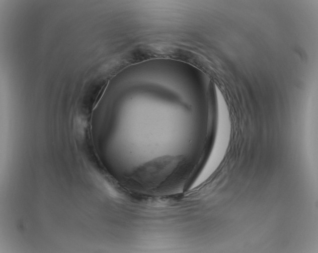 X0000108480235200904171617