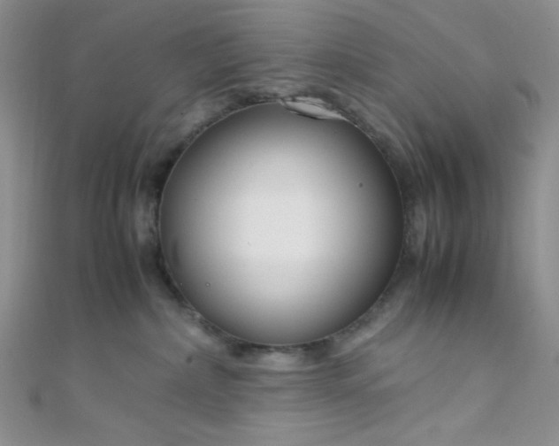 X0000108480236200904171617