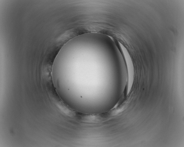 X0000108480237200904171617