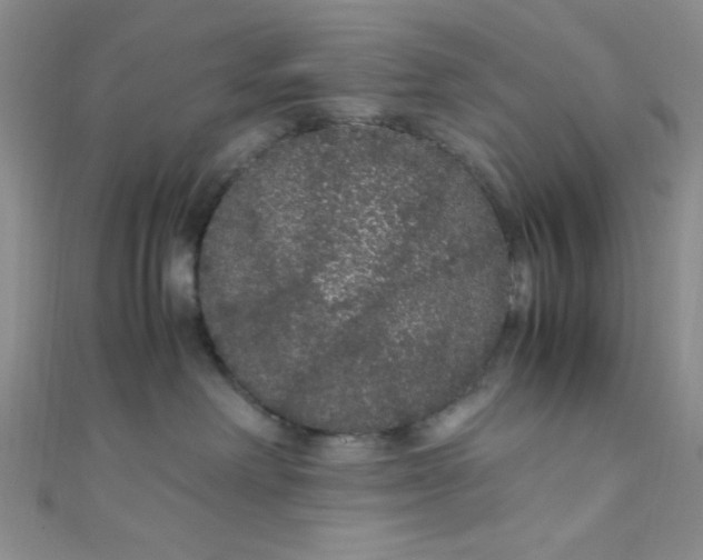 X0000108480238200904171617