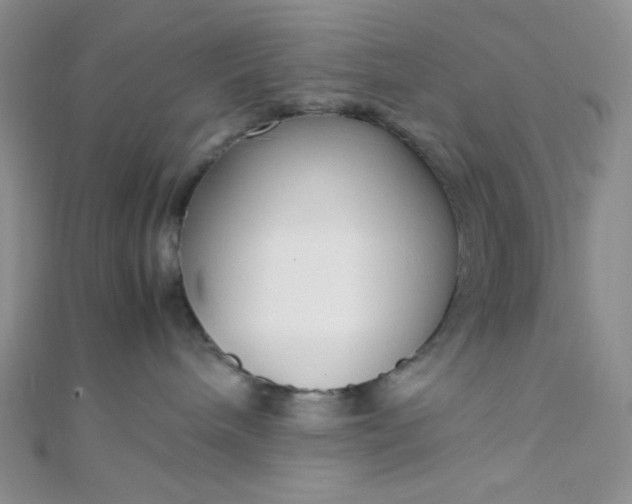 X0000108480240200904171617