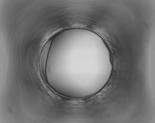 X0000108480241200904171617