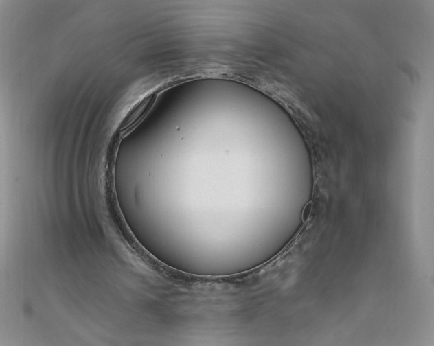 X0000108480242200904171617