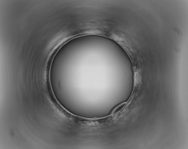 X0000108480243200904171617