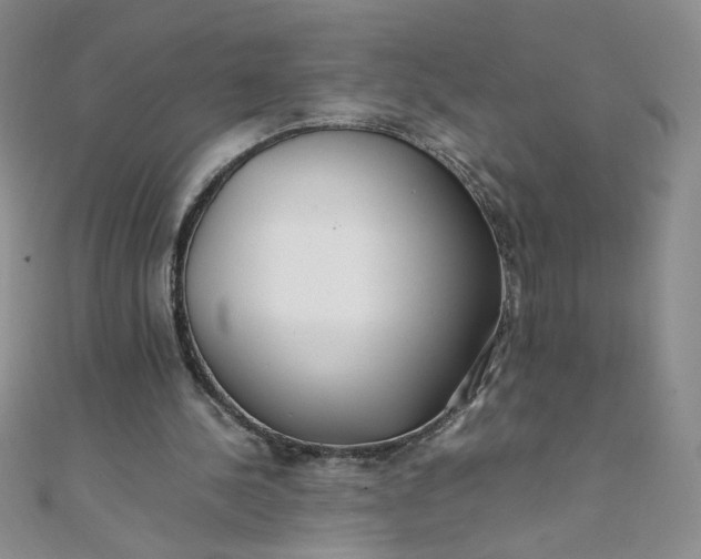 X0000108480244200904171617
