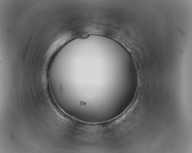 X0000108480245200904171617
