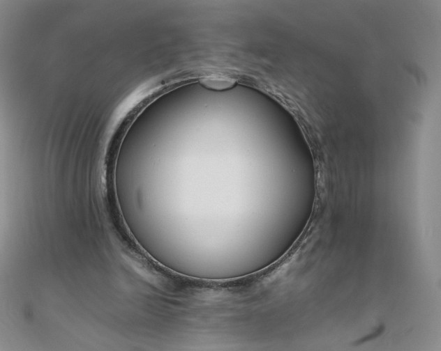 X0000108480246200904171617