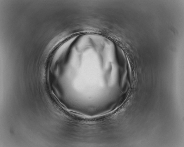 X0000108480247200904171617