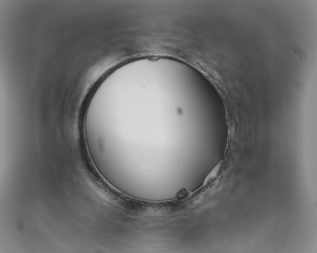 X0000108480248200904171617