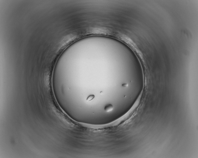 X0000108480249200904171617