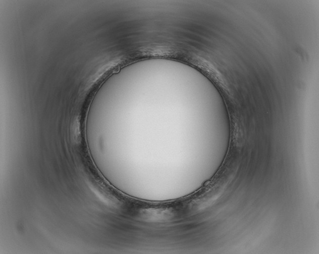 X0000108480251200904171617