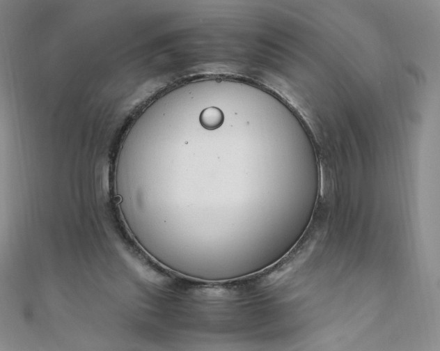 X0000108480253200904171617