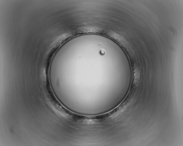 X0000108480254200904171617